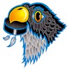 Springfield Falcons